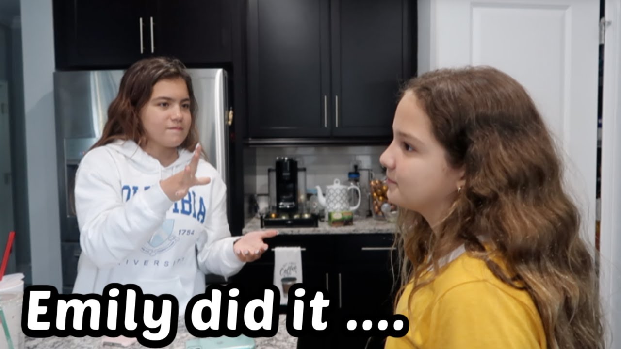 EMILY DID IT ..... | SISTERFOREVERVLOGS #794