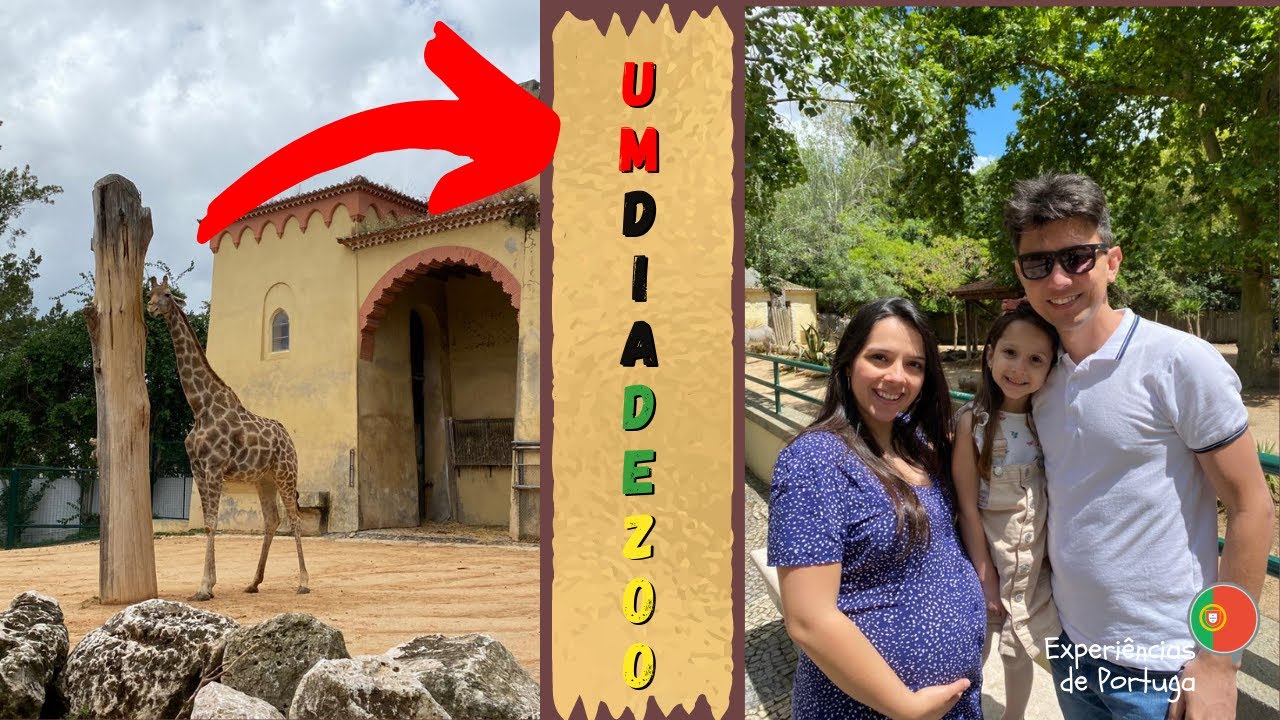 NOSSA EXPERIÊNCIA PELO ZOOLOGICO DE LISBOA-PT
