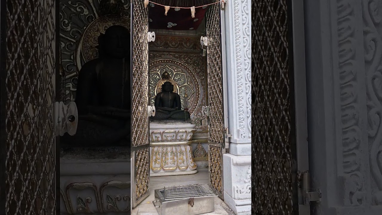 kundalpur..#jainism ,#jainchannel ,#kundalpur #badebaba ,#vandna vandna,#nature ,#jain