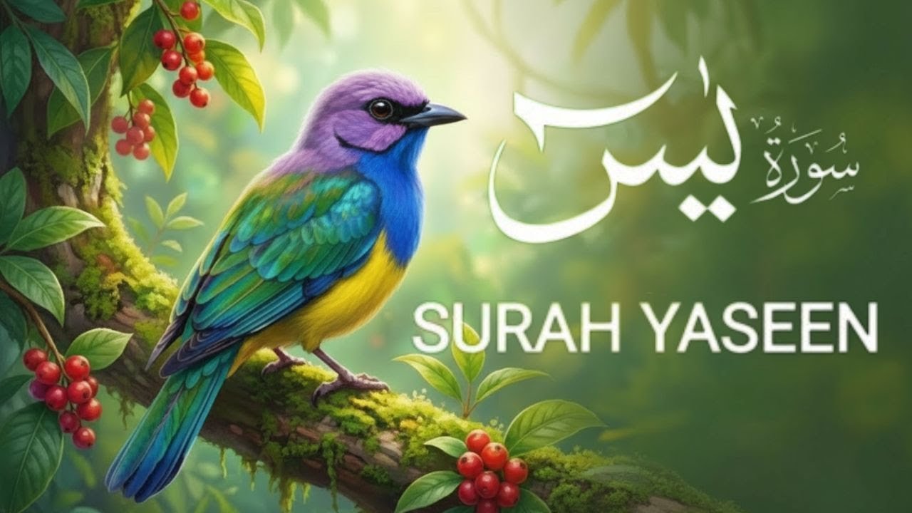 Surah Yaseen | Peaceful Quran Recitation for Heart and Soul