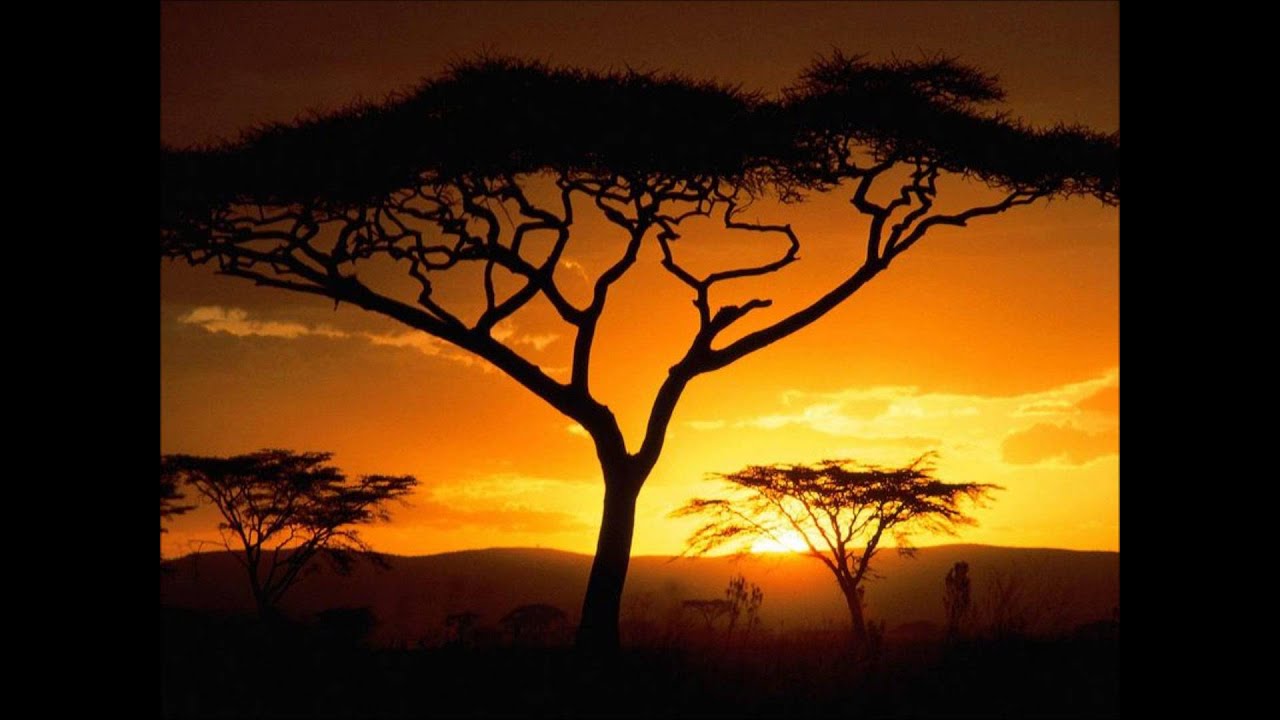 Okrika Sunset - Ilekun D'africa