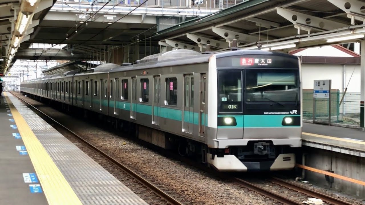 小田急多摩線 急行 唐木田行き 栗平駅（JR E233系2000番台マト1編成）