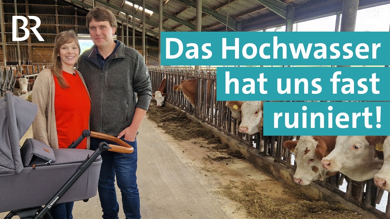 Nach dem Hochwasser 2024: Felder unter Wasser und kranke Kühe | Hofgeflüster | Unser Land