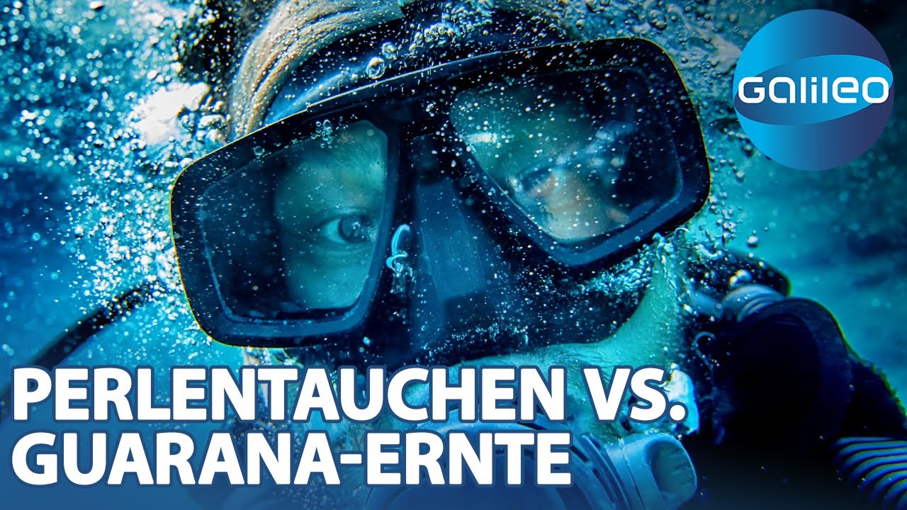 Arbeiten am Limit: Perlentauchen in Neuseeland vs. Guarana-Ernte in Brasilien | Galileo | ProSieben