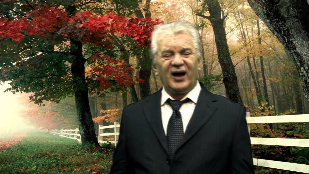 Žena smeđe kose  Mirko Srdinić