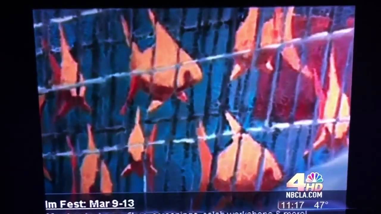 Banksy NBC news report