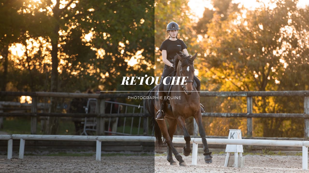 RETOUCHE - photographie équine