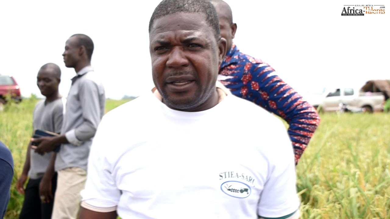 TOGO/ REPORTAGE:  KOVIE UN VÉRITABLE FOYER DE PRODUCTION DU RIZ DE QUALITÉ
