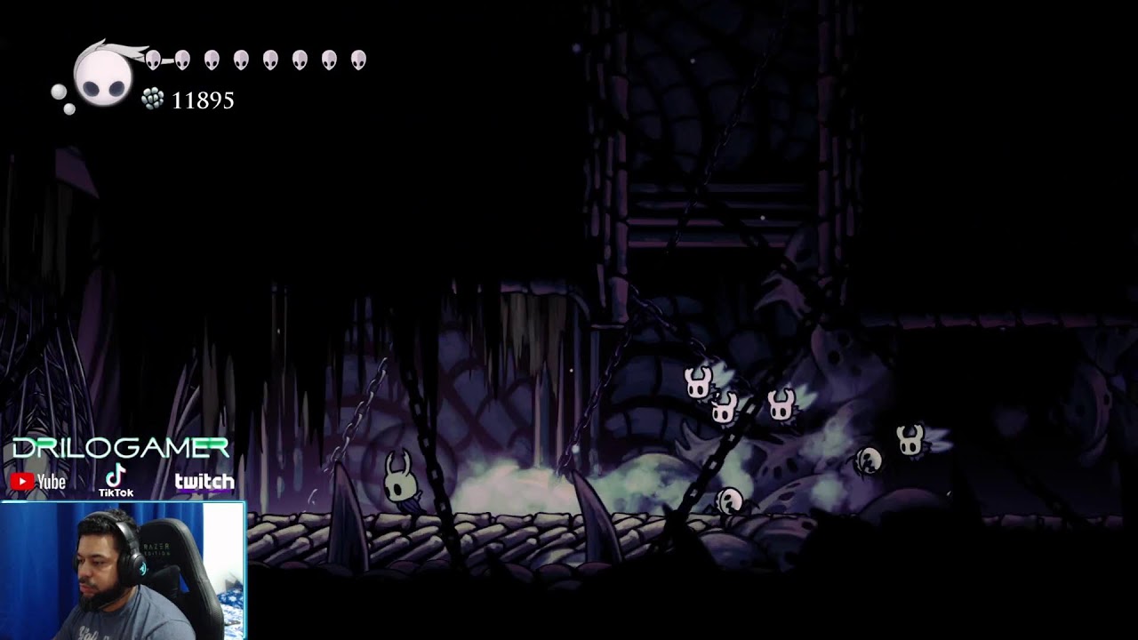 Hollow Knight