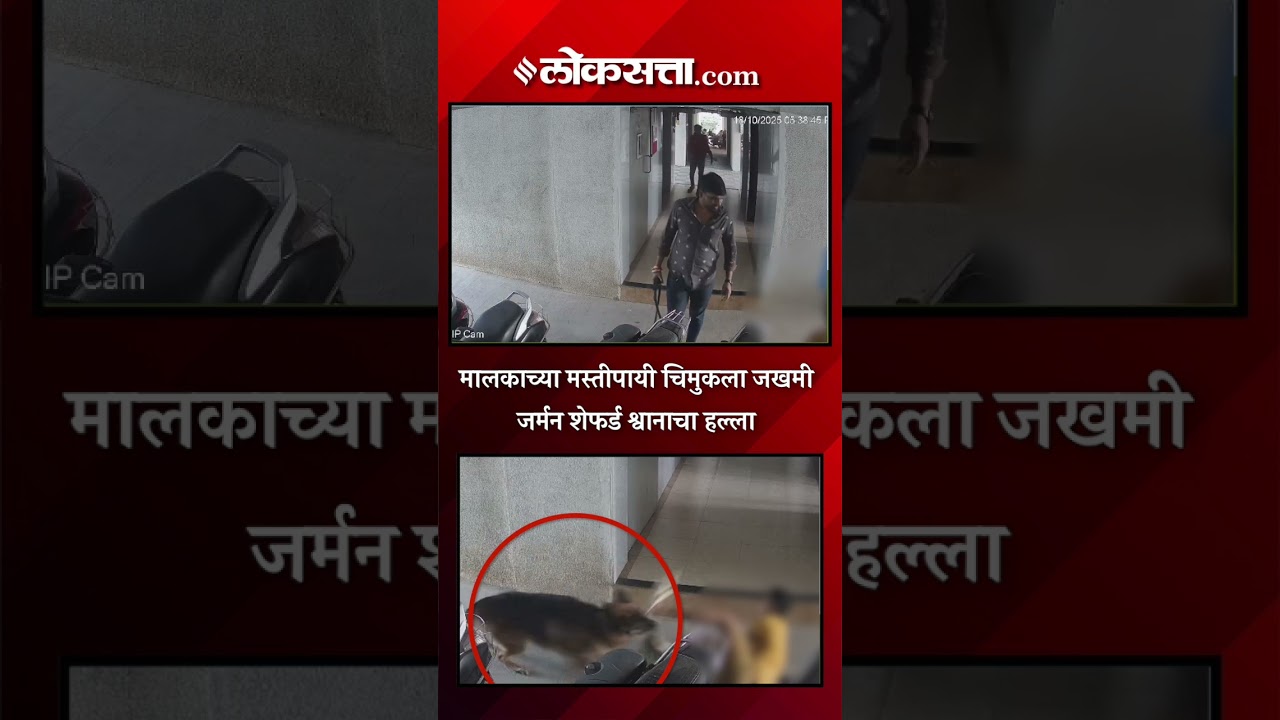 Pimpari chinchwad: जर्मन शेफर्ड श्वानाचा मुलाला चावा; स्वतः च्या बचवासाठी मुलाची धरपड