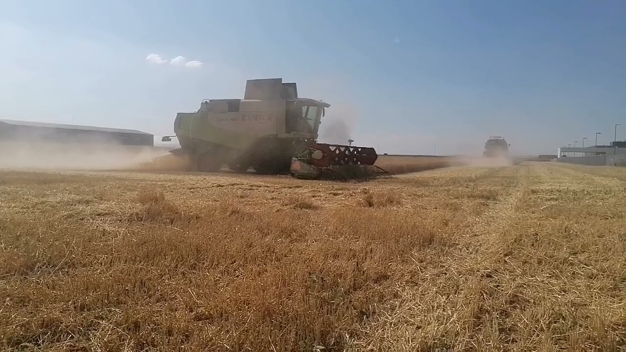 žetva pšenice 2022 /claas lexion 560 I mega 208 /pg HLATKI