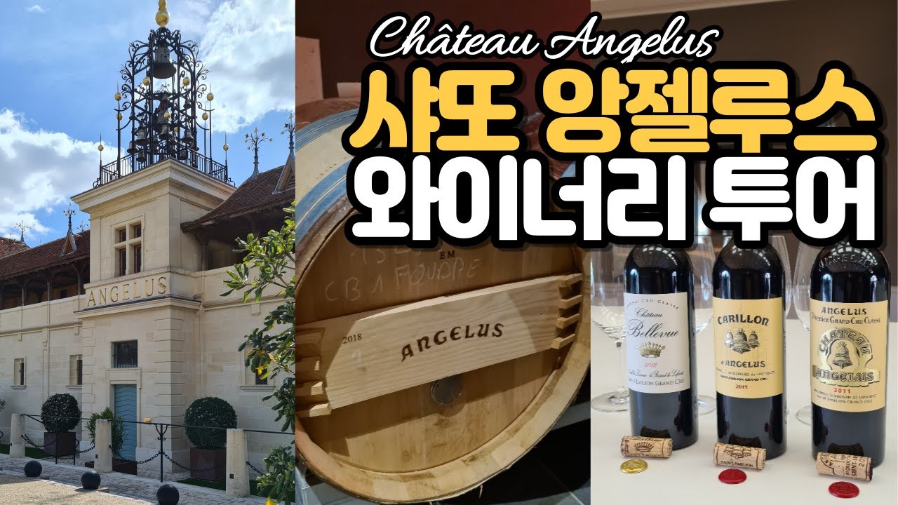 [와인여행]보르도 맞아?극강의 부드러움을 뿜어내는 샤또 앙젤루스 방문기/007이 사랑한 와인