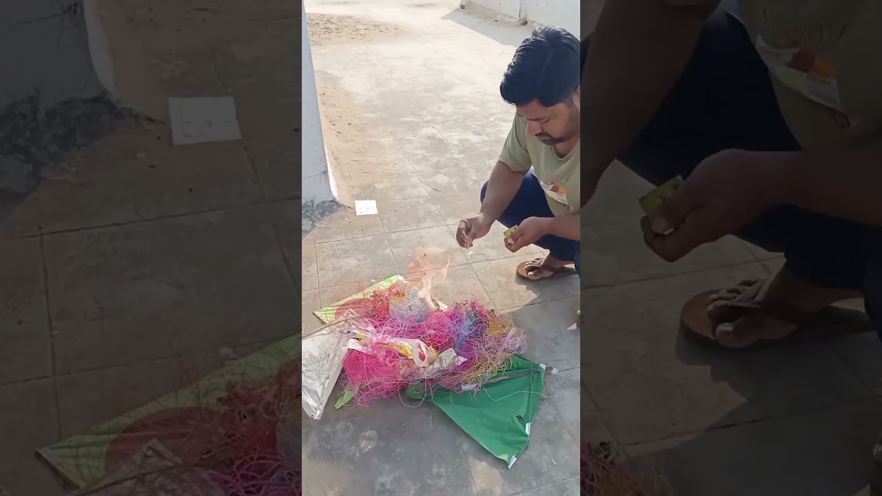 birds 🐦 🐦‍⬛ caring