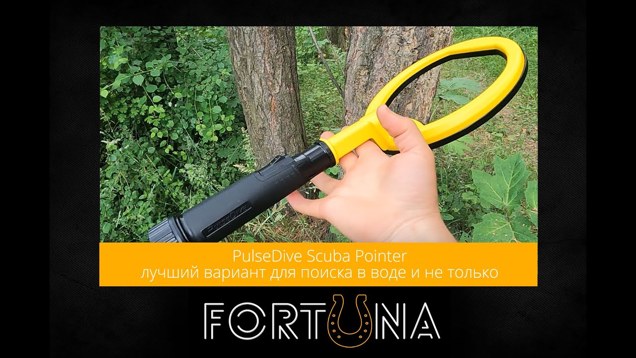 PulseDive Scuba Pointer - лучший вариант для поиска в воде и не только