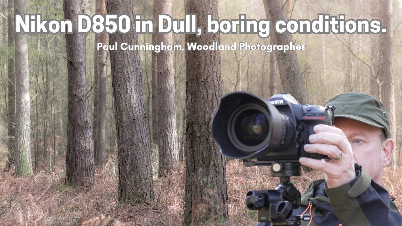 Nikon D850, shooting in dull conditions.