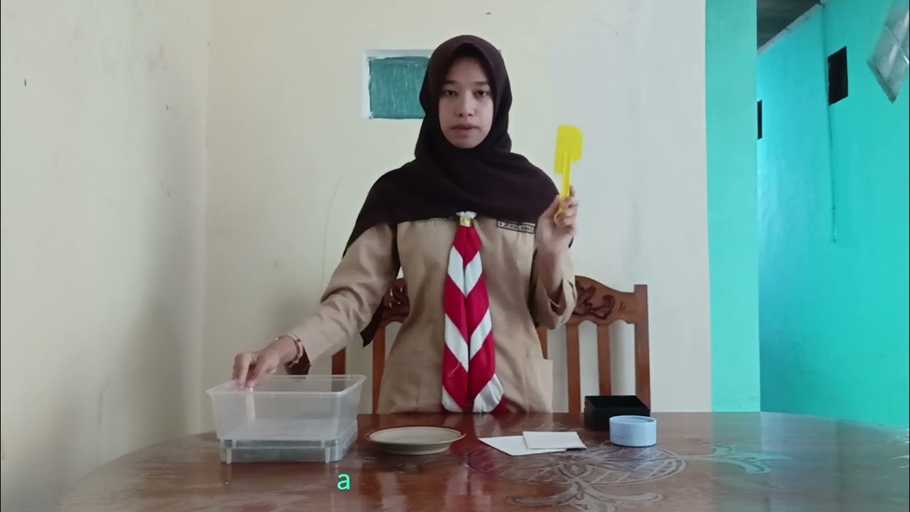 Procedure Text: How to Make Toasted Bread 