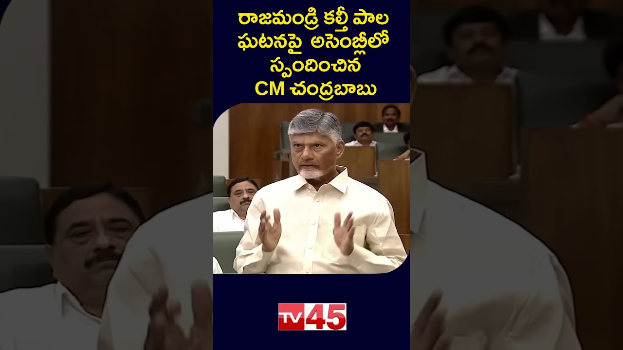 Chandrababu Addresses Assembly on Rajahmundry Milk Incident | AP Politics