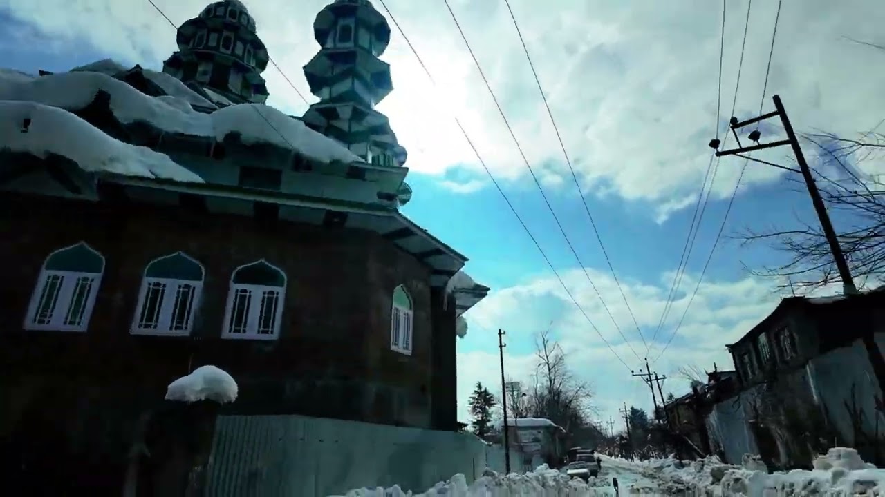 Thursdays in nature - Snowfall in Kashmir 