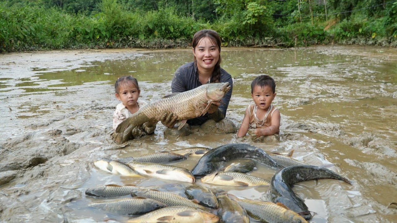 How to catch giant carp to sell at the market - Cooking feed for pigs