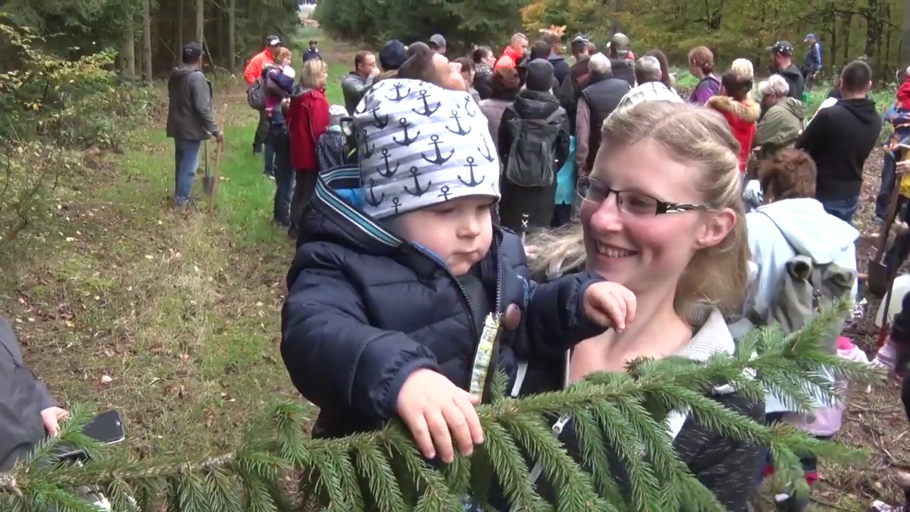 PUNKTum Baumpflanzaktion Generationenwald nahe Wippra