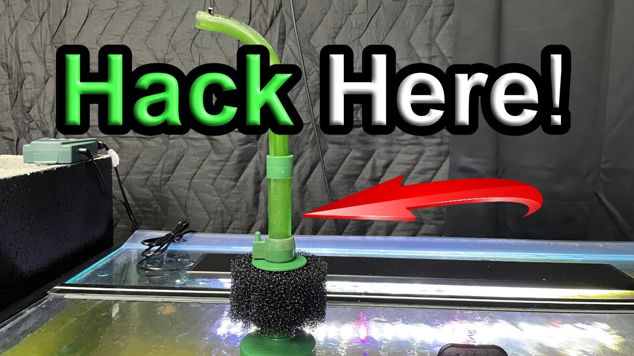 Easy Flow Sponge Filter Hack: Stop Frequent Clogging!