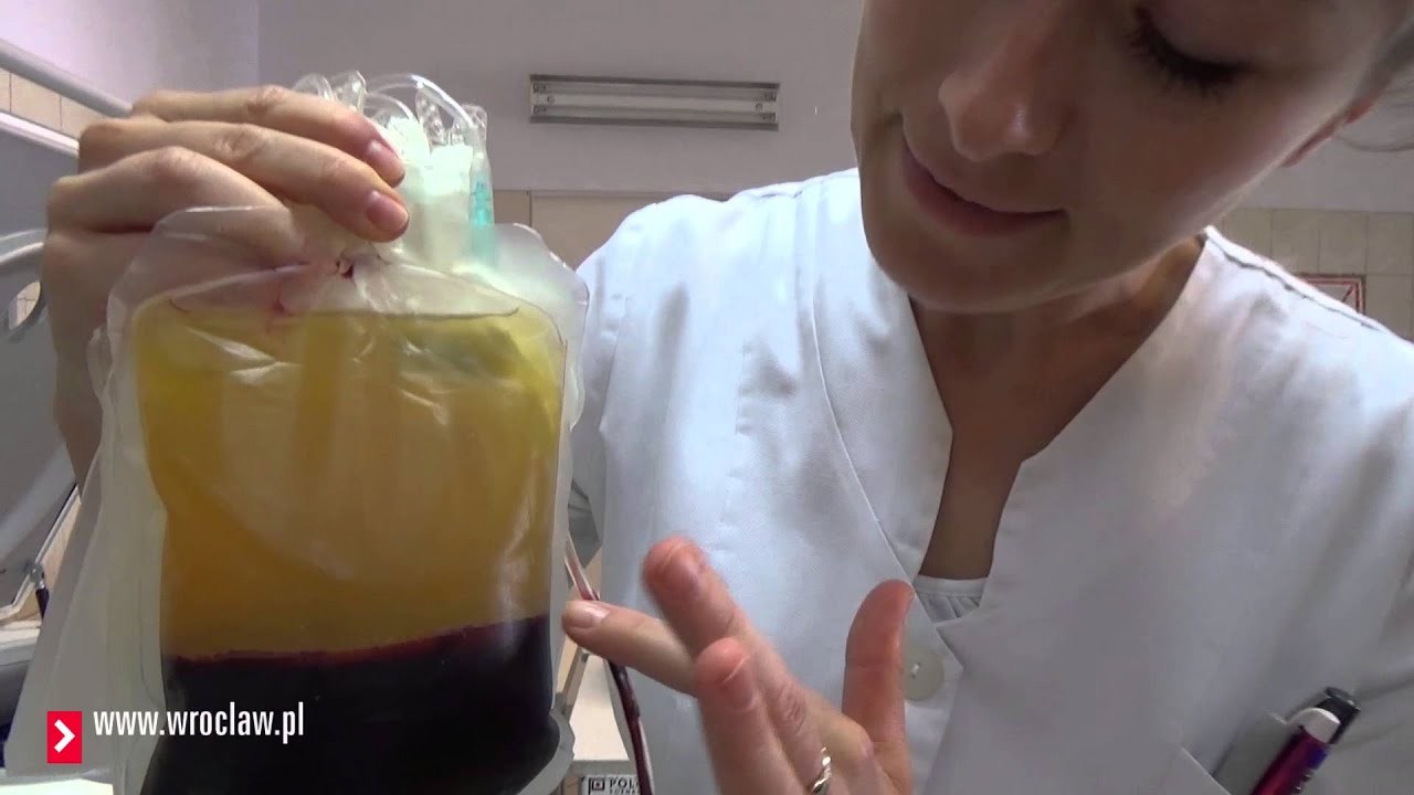 Nieznany Wrocław - droga cennej krwi we wrocławskim RCKiK