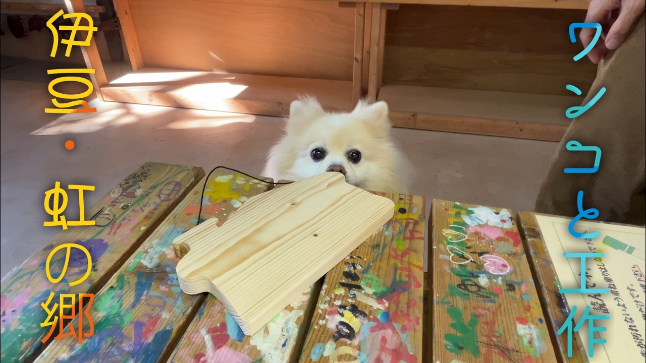 【ペットと工芸DIY】伊豆・修善寺虹の郷を訪ねたムツオさん。欧風の街並みや江戸の村落を再現した、ドッグフレンドリーなテーマパーク。汽車に乗り、沢山歩いて、工芸品を制作し、パンを食べる。。【修善寺編】