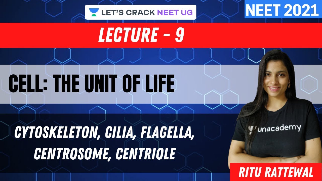 Phoenix 2.0: Biology Most Important Video for NEET 2025 | Udaan