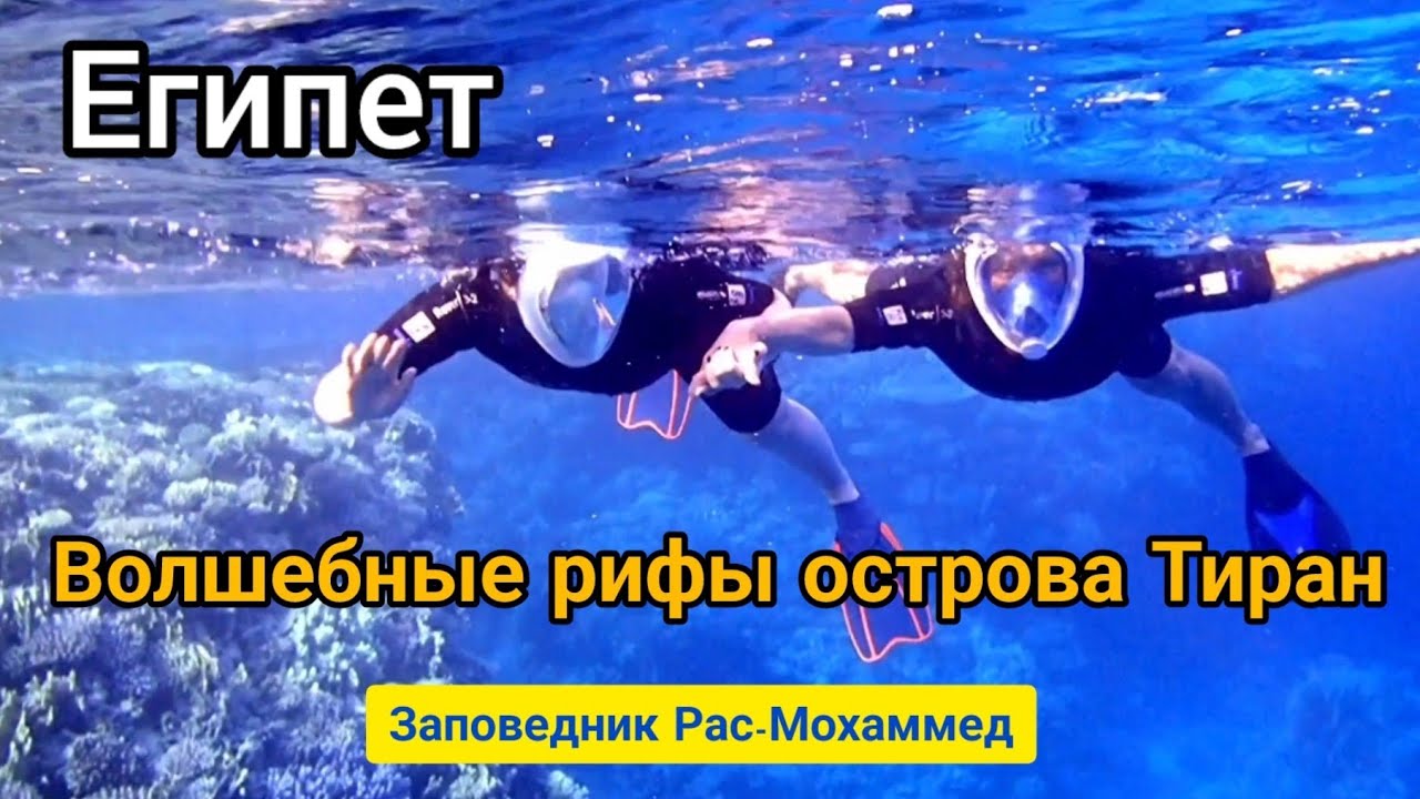 Заповедник Рас-Мохаммед: риф острова Тиран. Потрясающий снорклинг и мистический шлейф