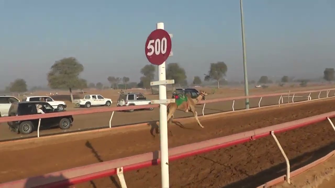 R11 5 3 2023F الشوط (11 سودانيين) مياسة للسيد/ الصادق محمد المليون