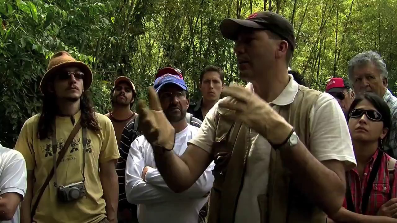 Construcción con caña guadúa. Primera parte: la Guadúa Angustifolia