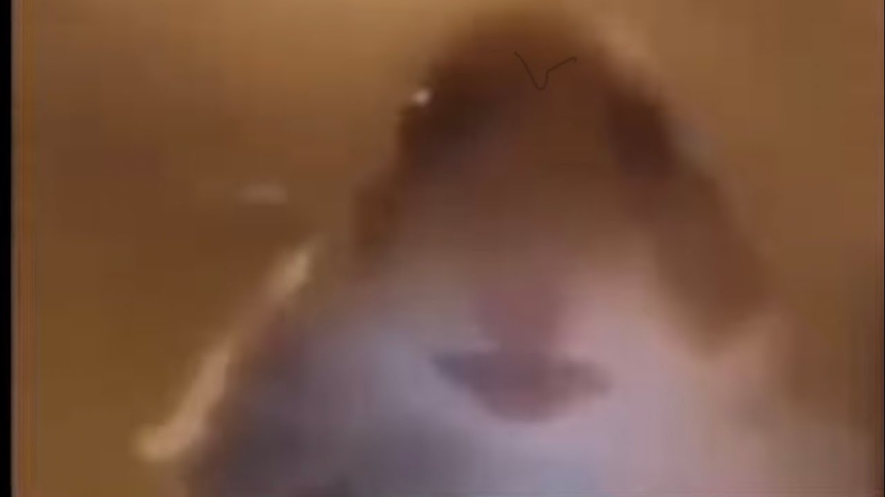 ʀᴀʜʜʜ ʀᴀʜʜʜ ʀᴀʜʜʜ