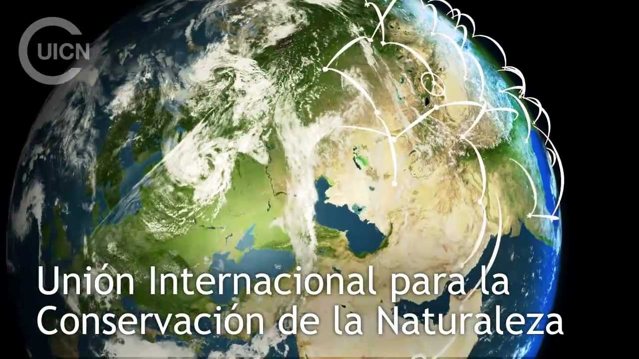 ¿Qué es la UICN?