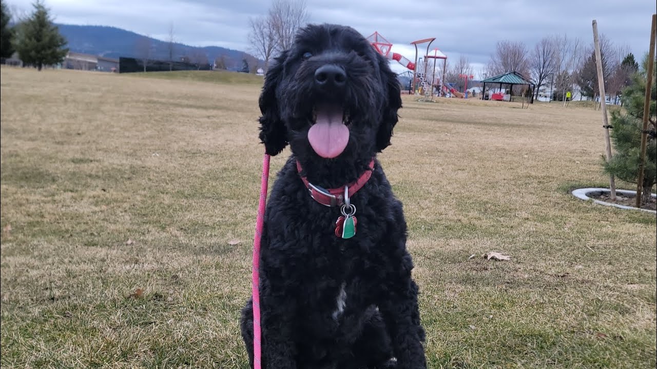 Sophie's Journey!