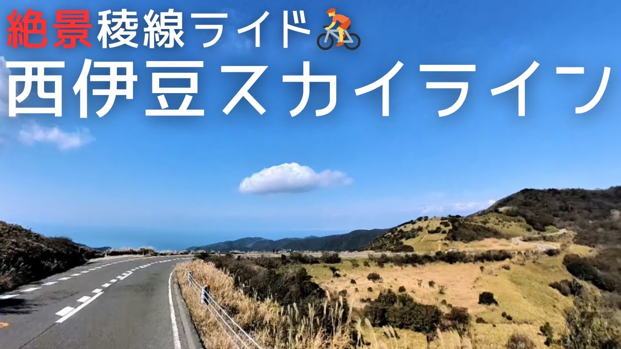 【西伊豆】 絶景稜線サイクリング!!🚴 修善寺駅発着【西伊豆スカイライン】