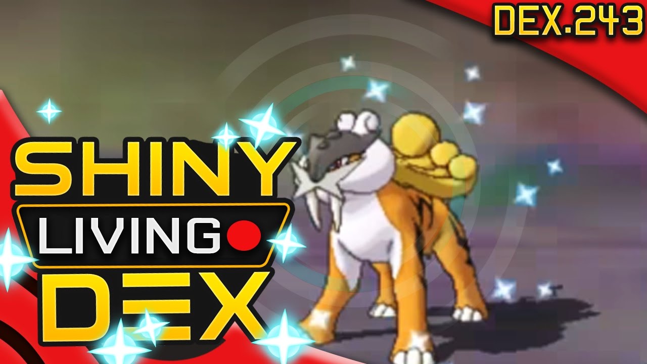 EPIC SHINY RAIKOU REACTION! Live! Quest For Shiny Living Dex #243 | Pokemon ORAS