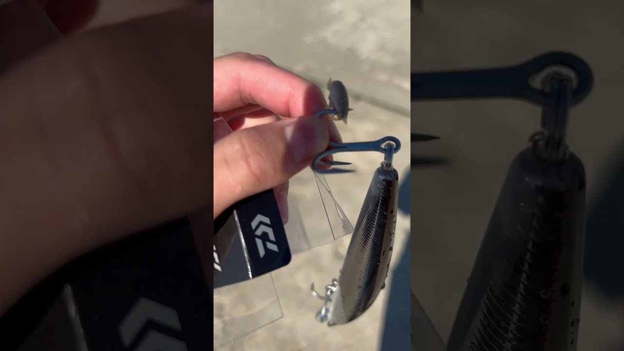 Hooked a Sand Flea on my SP minnow