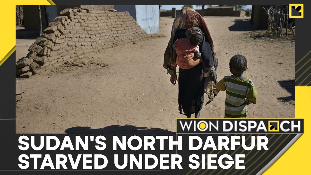 Sudan: Children Survive On Meagre Starch Meals & Animal Feed | WION Dispatch