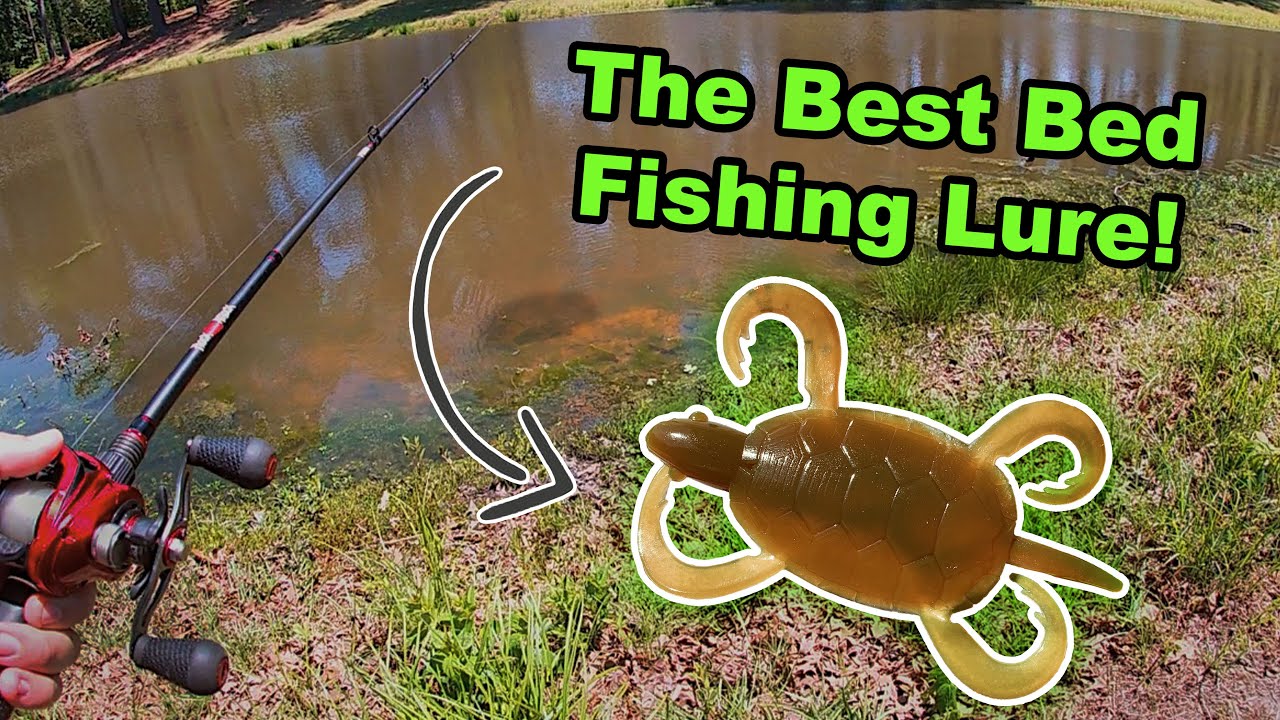 This Soft Plastic Turtle is the BEST Bed Fishing Lure!