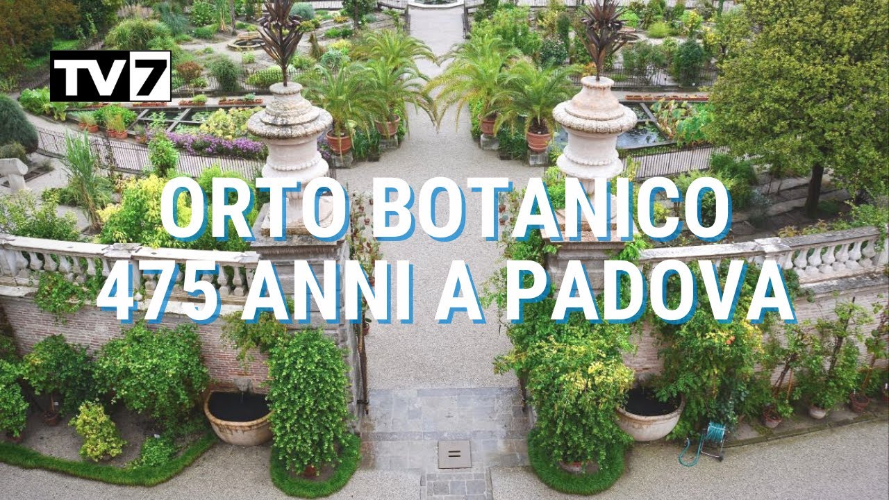 ORTO BOTANICO, 475 ANNI DI BIODIVERSITA' A PADOVA
