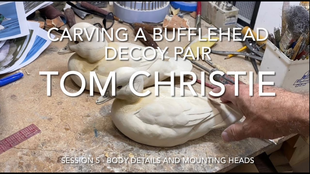 Carving a Bufflehead Decoy Pair Session 5 - Body Details and Mounting Heads