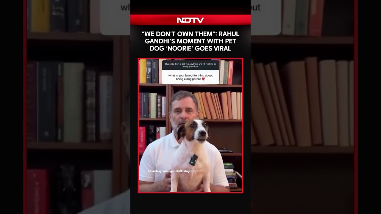 rahuldog_193352