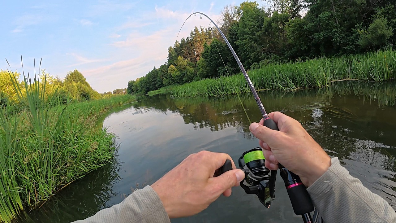 VENTURED INTO UNCHARTED AREAS OF A FOREST RIVER AND CAUGHT A VARIETY OF FISH! Spin fishing 2026.