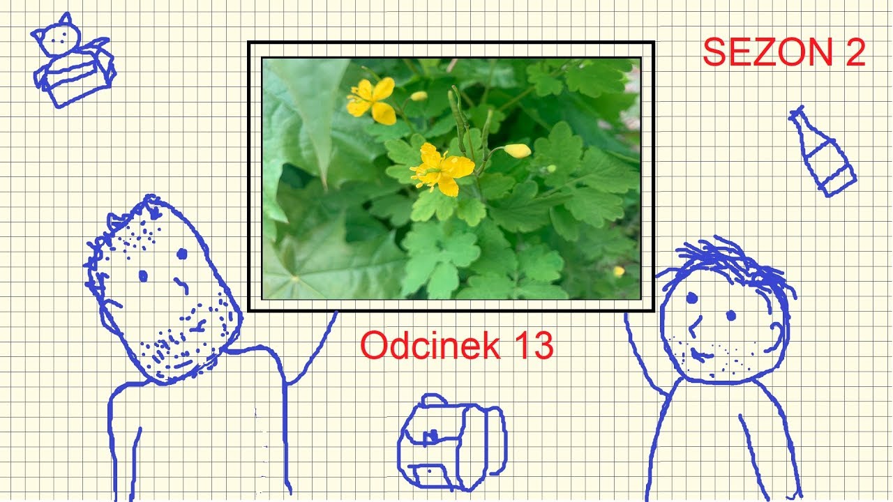 Oszuści Kleopatry odc.13 (Obrona miasta, Tresura kota, Sztuka, Samotność)