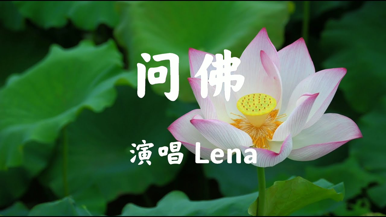 问佛 翻唱 Lena