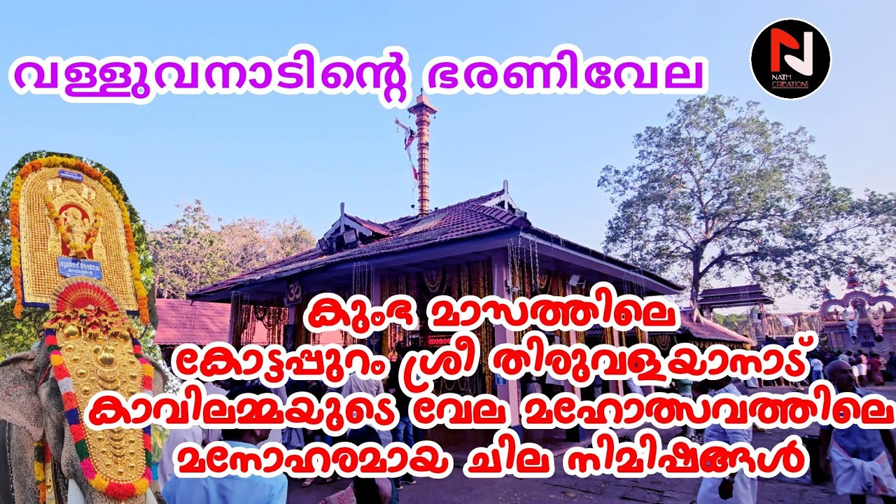 കോട്ടപ്പുറം ഭരണി വേല( പൂരം -2024)മഹോത്സവം || Kottappuram pooram-2024