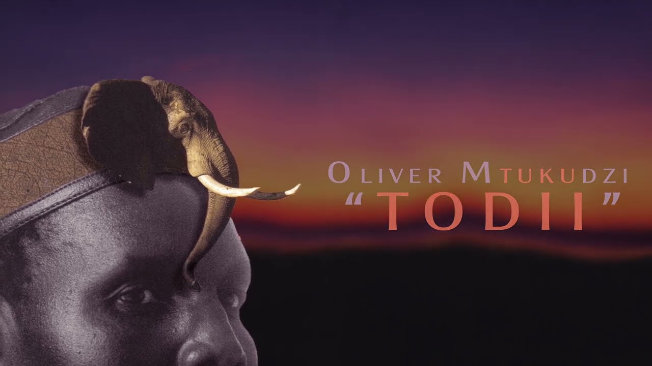 Oliver Mtukudzi - Todii (Lyric Video)