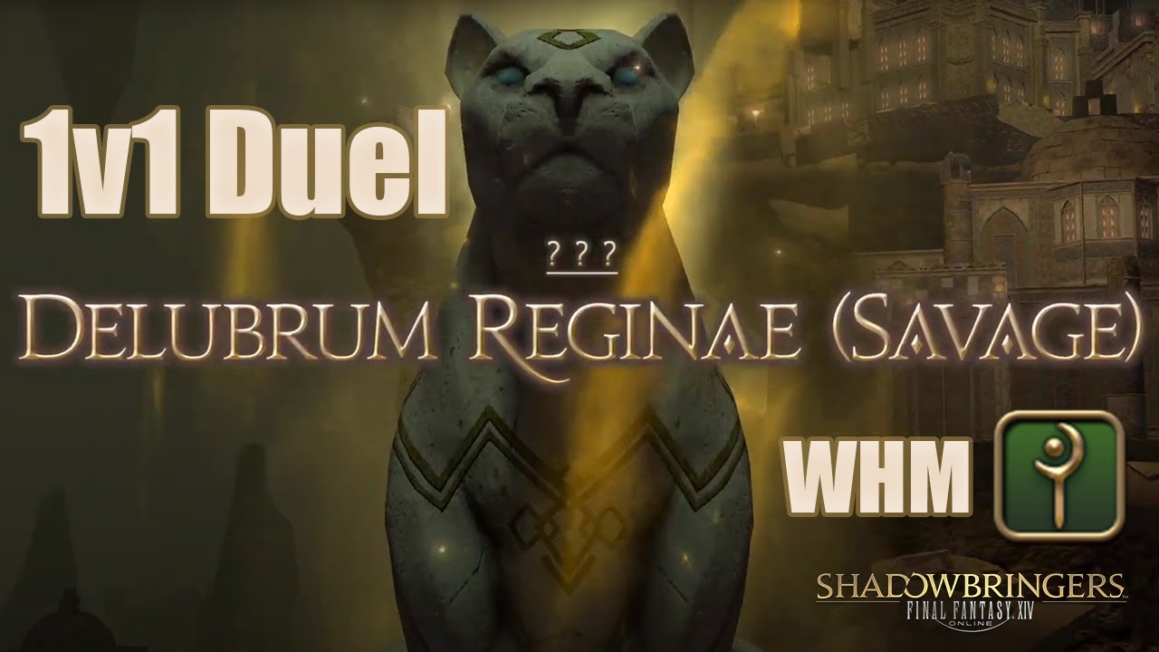 Delubrum Reginae Savage DRS 1v1 duel WHM pov