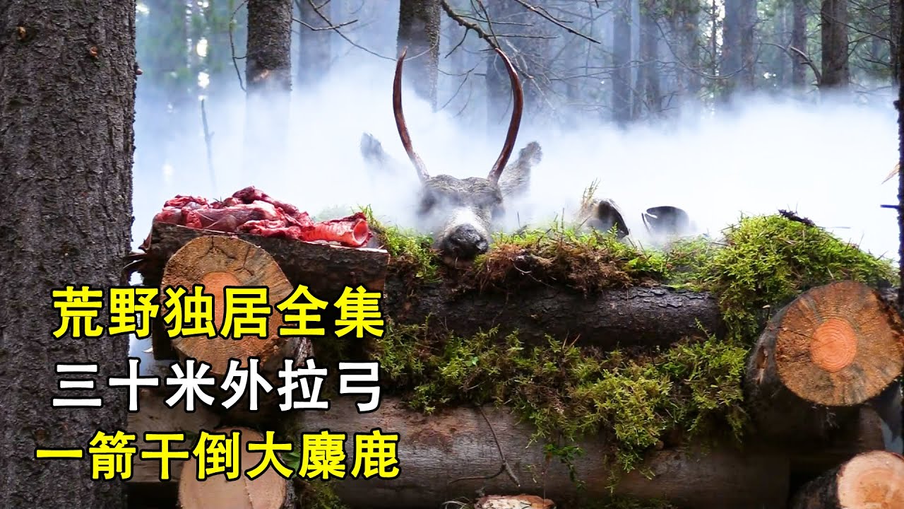 一口气看完荒野独居第八集全集，狩猎鹿神选手出现，三十米一箭干倒驼鹿，搭建巨型烤肉架，纪录片 Survive alone in the wild and win $500,000
