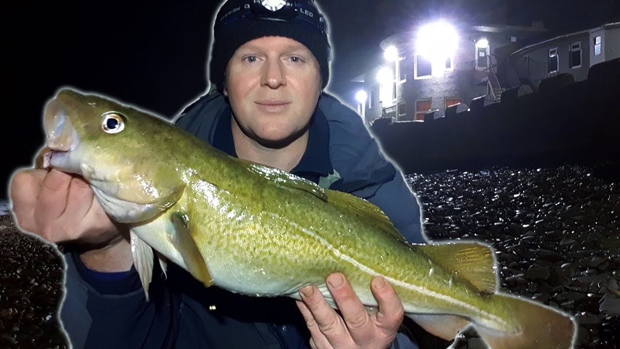 North East Cod fishing | Sea Fishing UK